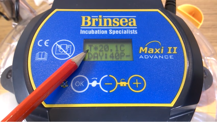 brinsea maxi ii advance automatic egg incubator usac26c