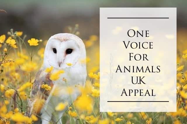 Covid-19 One Voice for Animals UK Appeal - Brinsea