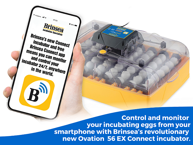 Brinsea's new Ovation 56 EX COnnect incubator shown with smartphone and Brinsea app