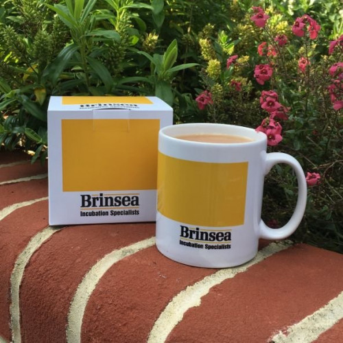 Brinsea Mug - out of stock