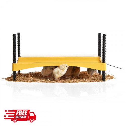 EcoGlow Safety 1200 Chick Brooder for up to 35 chicks
