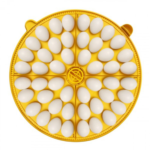 Maxi 48 Incubator Medium Egg Quadrants - 4 Pack (48 Hen Eggs)