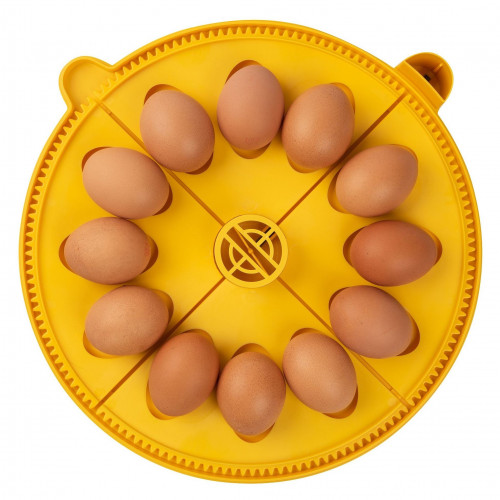 Maxi Incubator Large Egg Quadrants - 4 Pack (12 large hen/duck eggs)