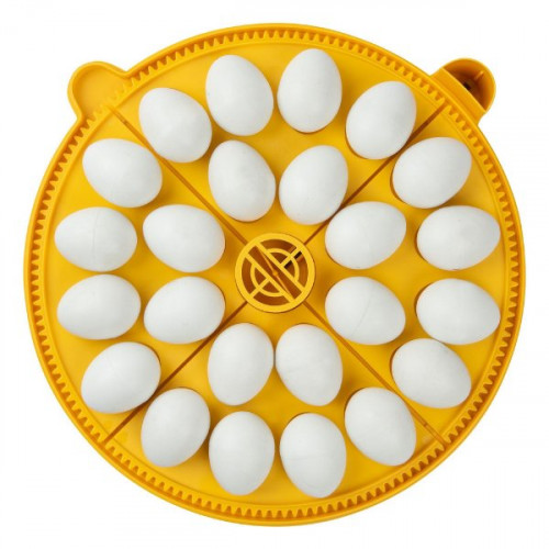 Maxi Incubator Medium Egg Quadrants - 4 Pack (24 hen eggs)