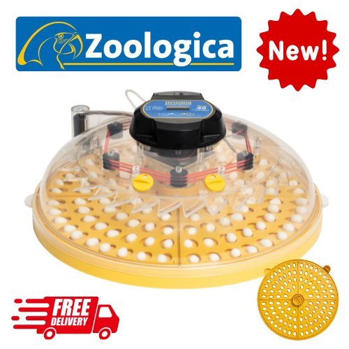 NEW - Maxi 48 Zoologica - fully automatic, parrot & exotic egg incubator