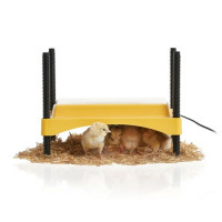EcoGlow Safety 600 Chick Brooder for up to 20 chicks