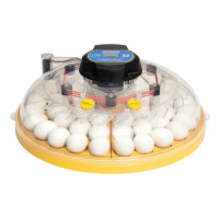 NEW - Maxi 48 Advance - automatic turn, 48 egg incubator