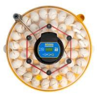 NEW - Maxi 48 Advance - automatic turn, 48 egg incubator
