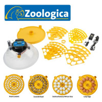 CLEARANCE - Maxi 24 Zoologica Incubator for Exotic Birds' Eggs