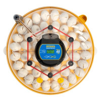 NEW - Maxi 48 EX - fully automatic turning & humidity, 48 egg incubator