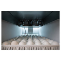 COMING SOON - NEW - OvaEasy 190 EX Series III – High Capacity, Fully Automatic Cabinet Incubator