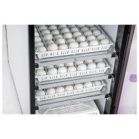 ​COMING SOON - NEW - OvaEasy 380 EX Connect Series III – App Controlled, High Capacity, Fully Automatic Cabinet Incubator