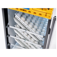 ​COMING SOON - NEW - OvaEasy 380 EX Series III – High Capacity, Fully Automatic Cabinet Incubator