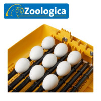 EX-DISPLAY Ovation 28 Zoologica Incubator - ideal for all species including Exotic Birds' Eggs