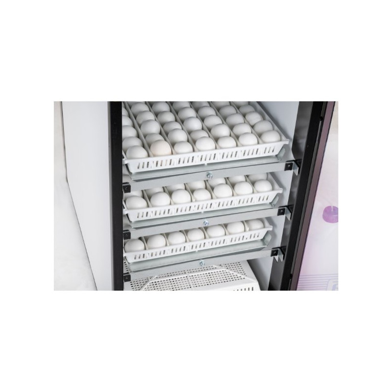 Cabinet Incubator Egg Tray System