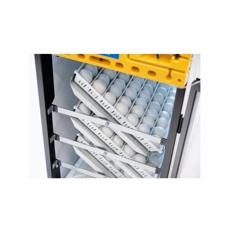 Cabinet Egg Incubator Automatic Turning Trays
